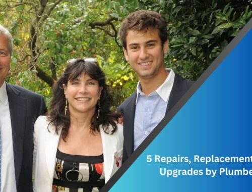 5 Repairs, Replacements, or Upgrades by Plumbers