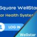 Wellstar Login