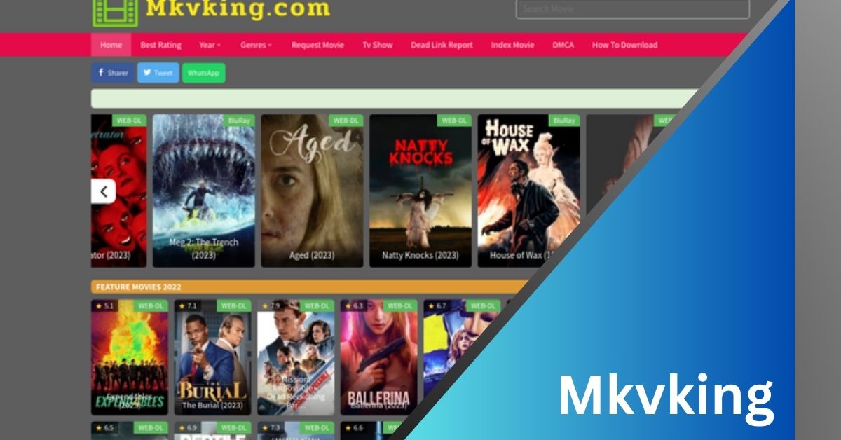 Mkvking Unlock The Detail In a Click!